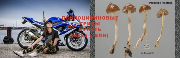 каннабис Алзамай