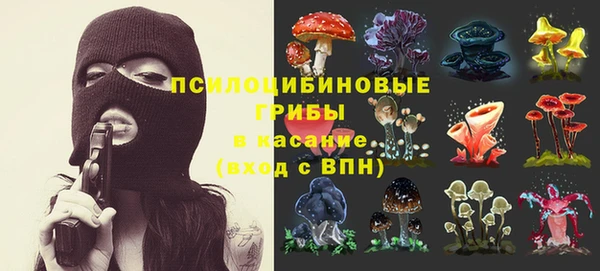 каннабис Алзамай