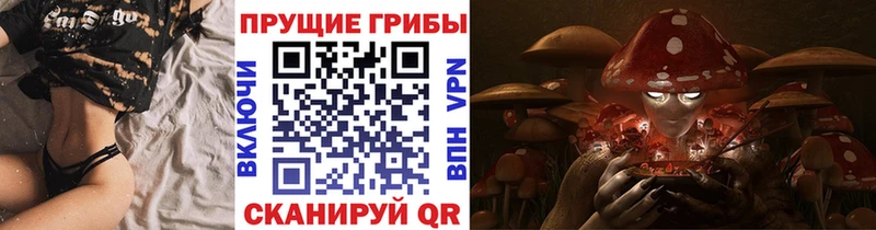 ОМГ ОМГ   Морозовск  Галлюциногенные грибы Cubensis 