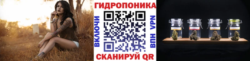 блэк спрут онион  Морозовск  Шишки марихуана Bruce Banner 